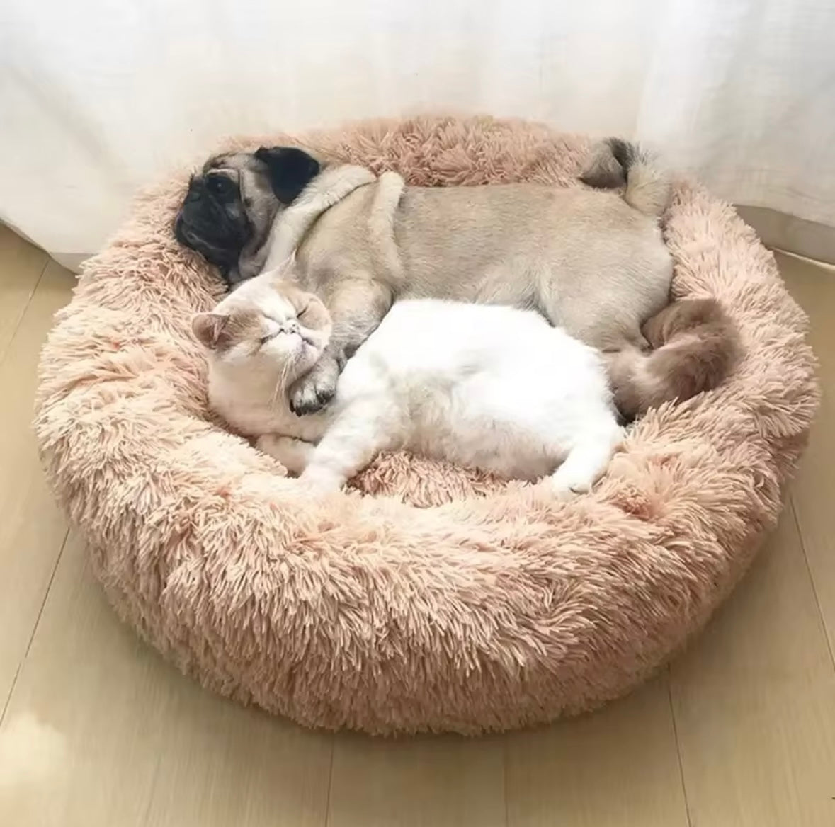 Calming Beds