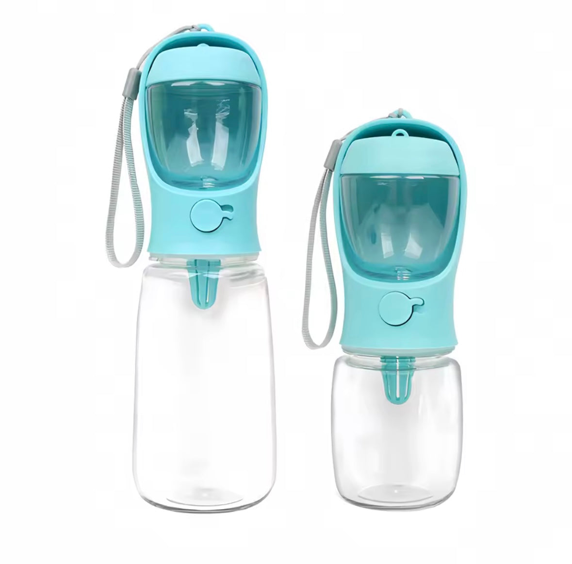Portable Water Bottle with Food Storage